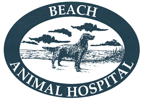 Beach Animal Hospital