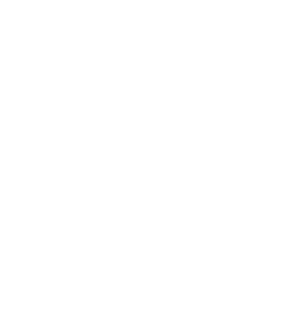 Tom Sawyer Park Foundation