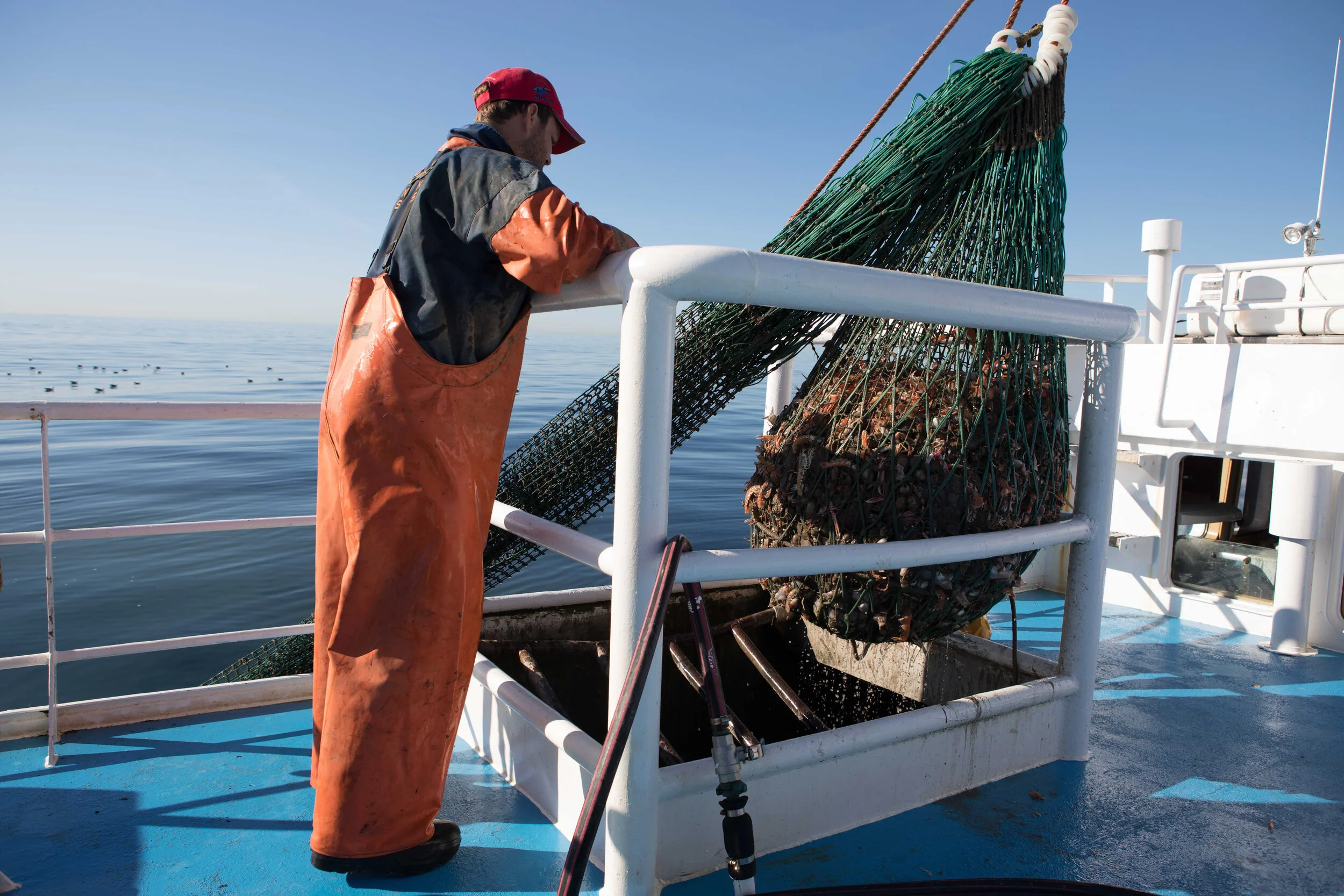 landing_the_catch_onboard_Tristan-0785.jpg