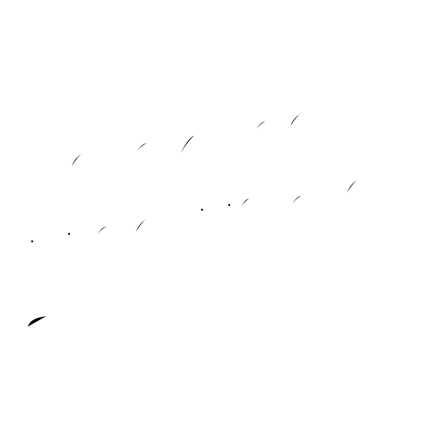 Megan Hamilton