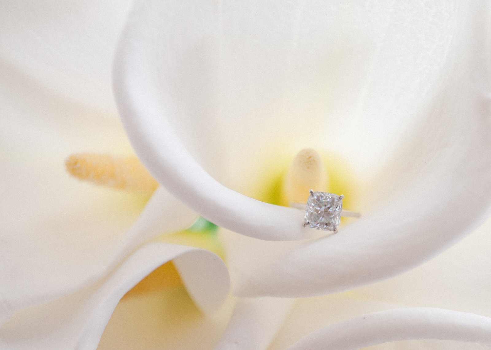 proposal-planning-planned-for-perfection.jpg