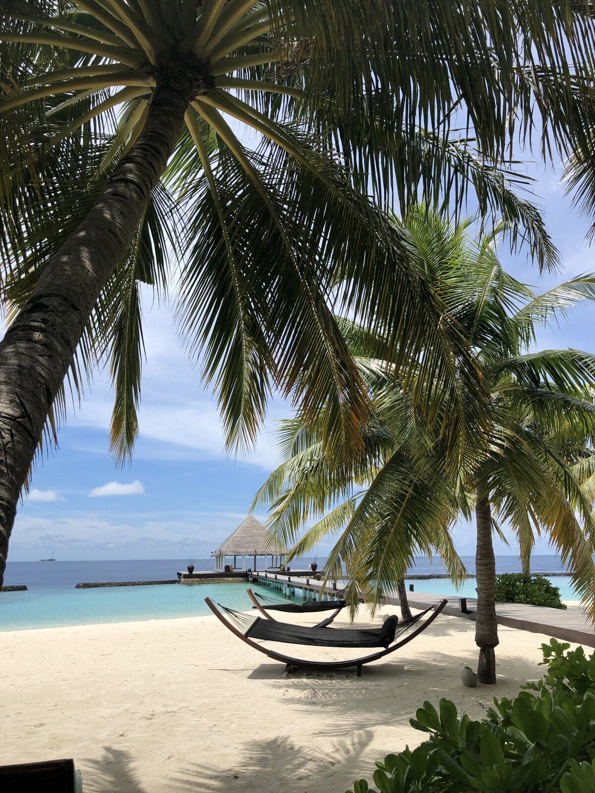 在热带小岛上度蜜月