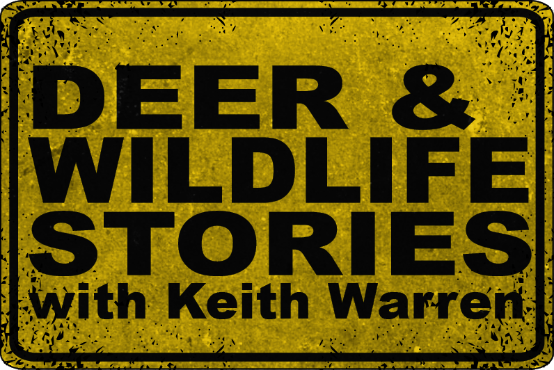 Keith Warren's Deer and Wildlife Stories