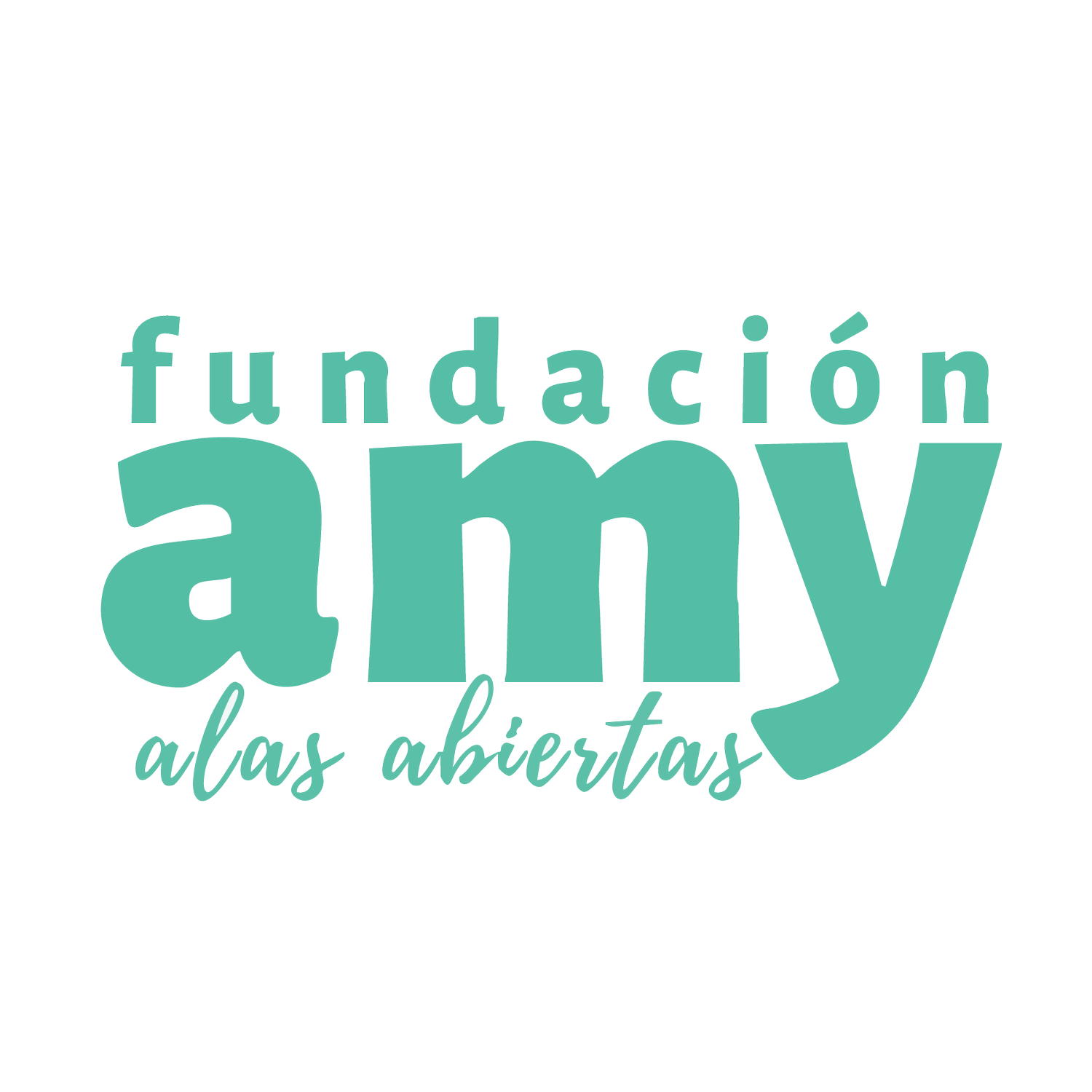 Fundacion Amy