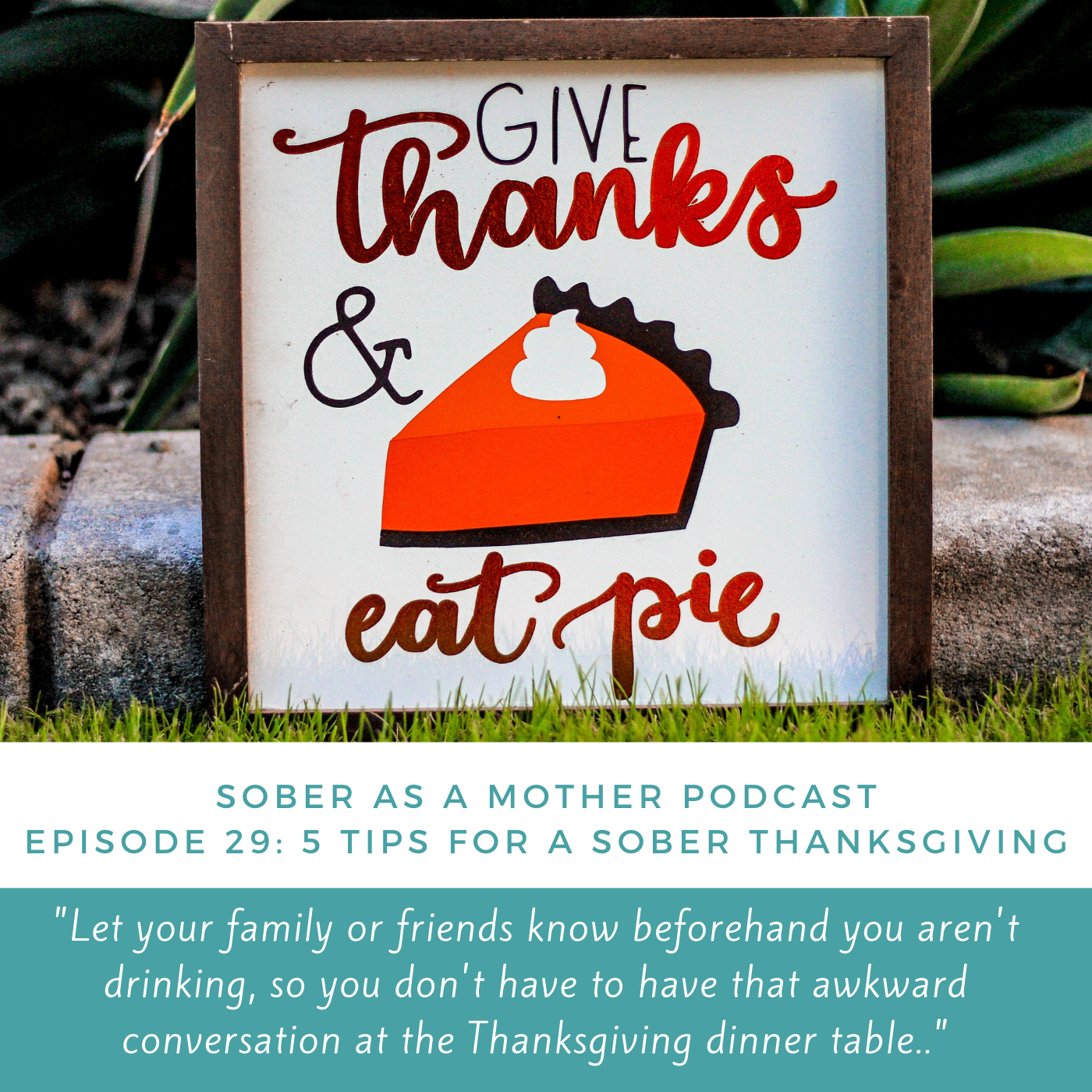 Ep29SolothanksgivingLibsynArtwork.png