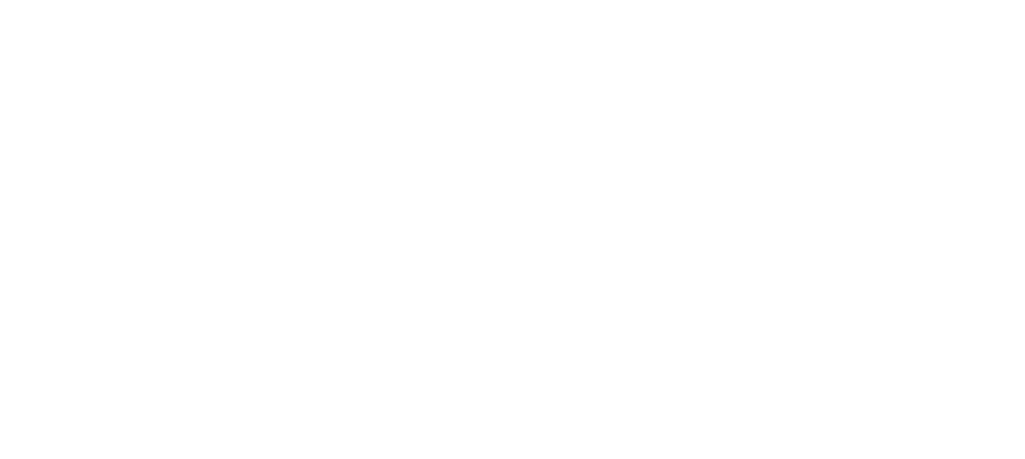 Vanessa Amaral