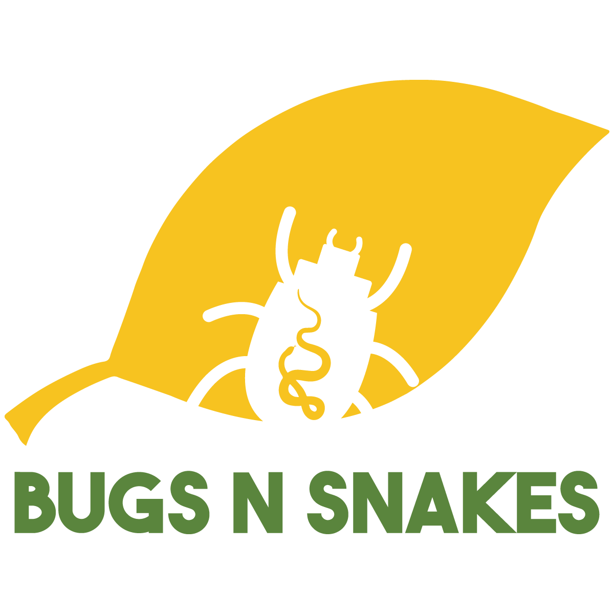 Bugs n Snakes