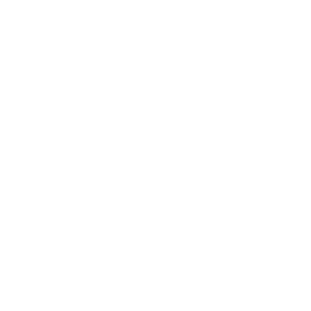 The Trunk Group