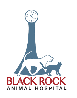 Black Rock Animal Hospital