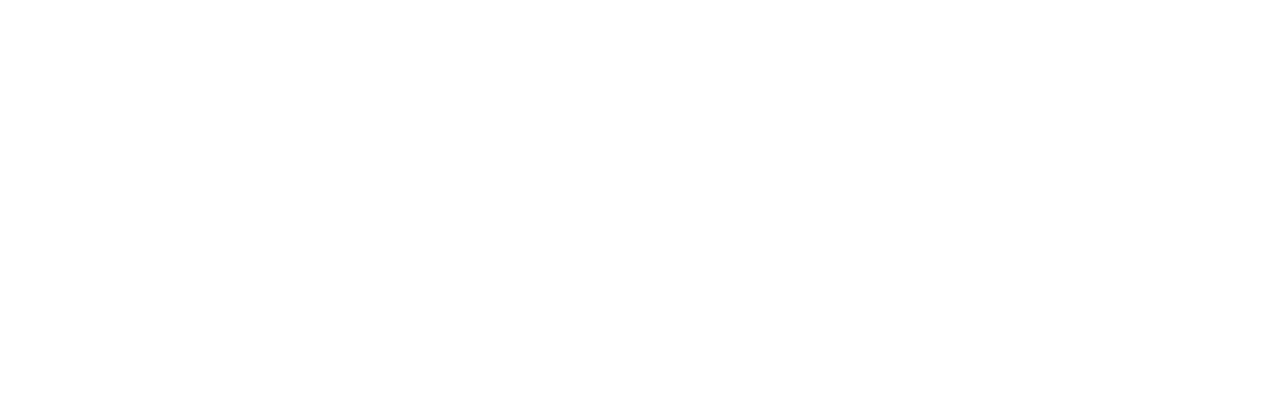 Automated Speed Enforcement