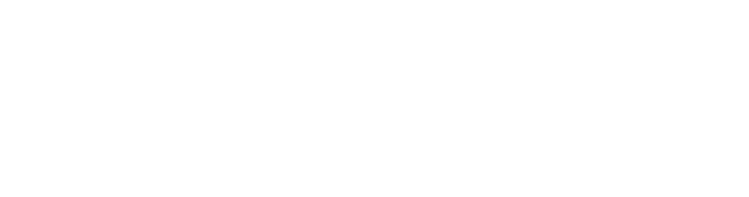 Singularity Sciences
