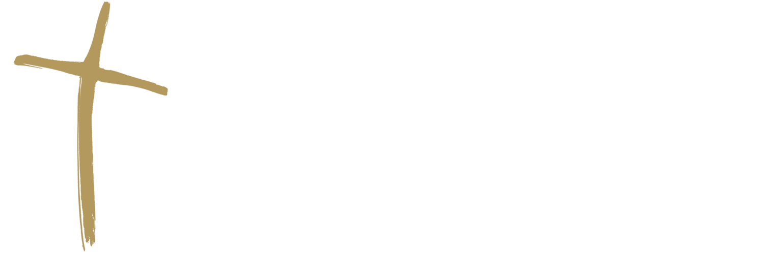 All In: Campaign for St. Bernard&#39;s