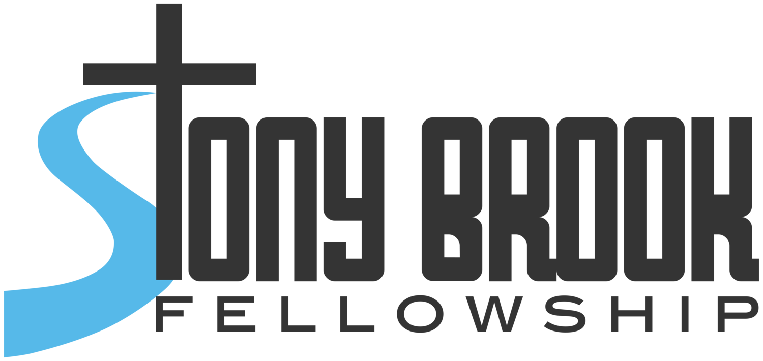 Stony Brook Fellowship