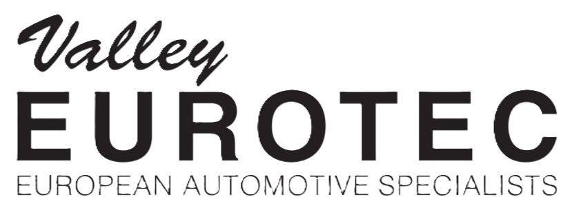 European Auto repair specialist