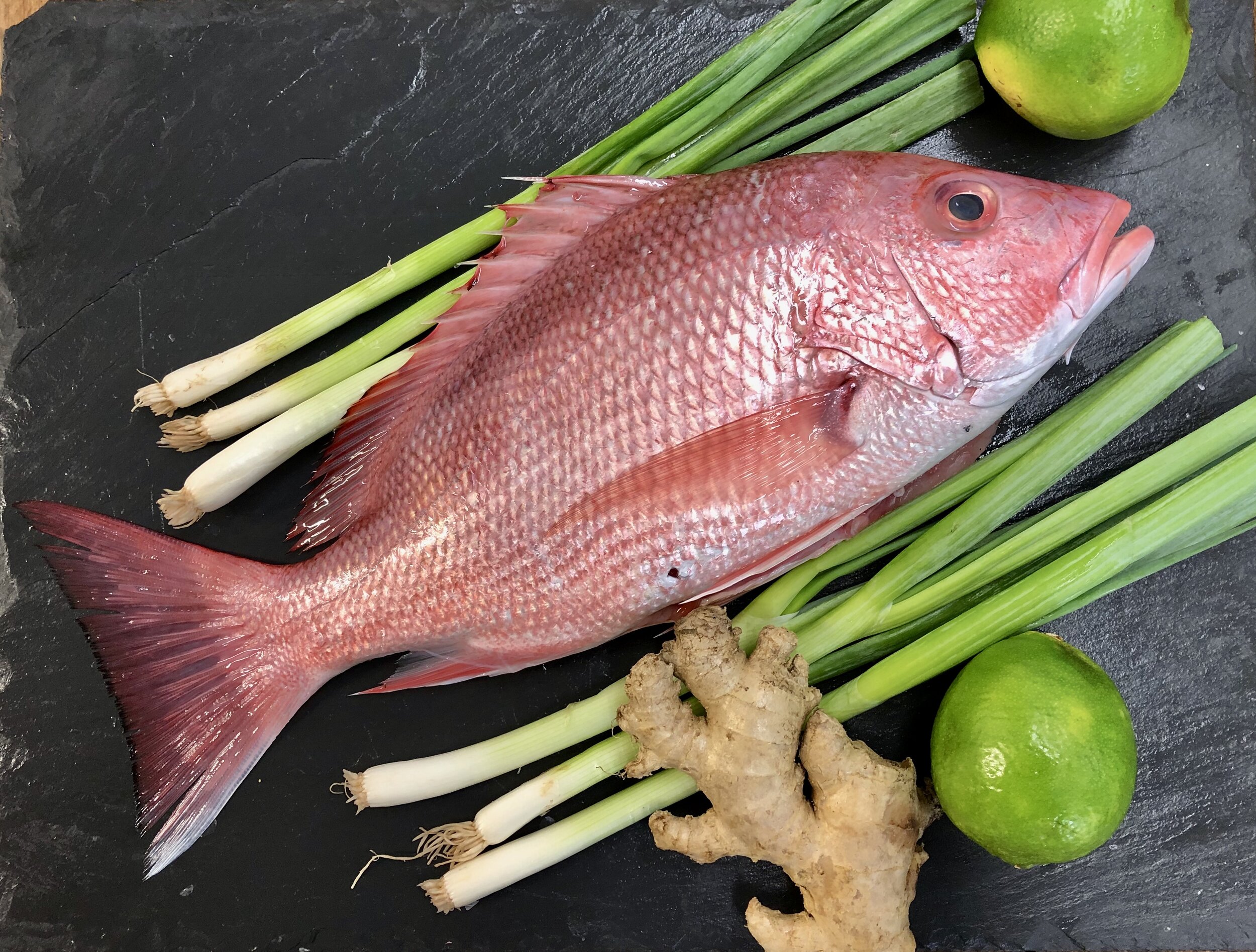Pacific Red Snapper, Whole - Riviera Seafood Club