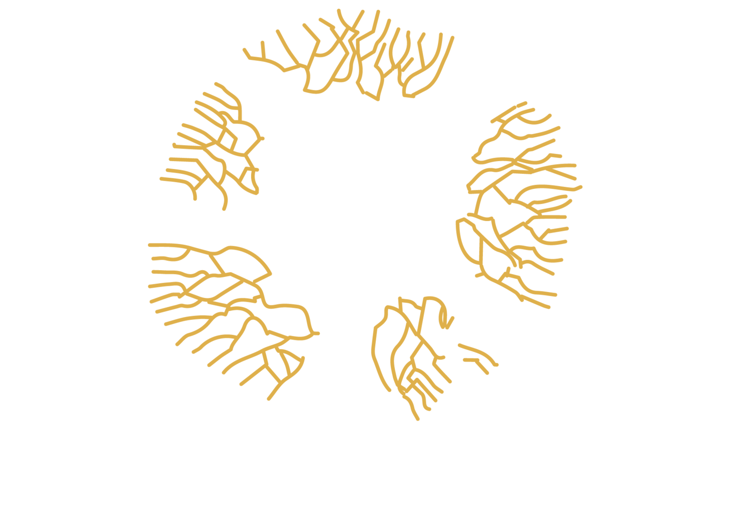 The Bio-Leadership Project