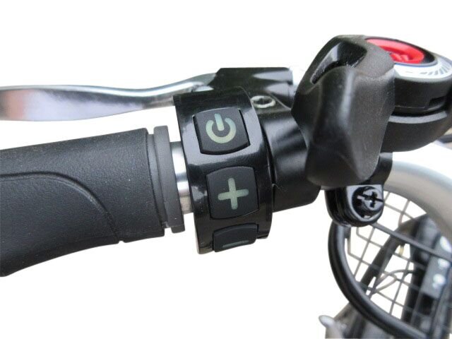 bintelli electric trike