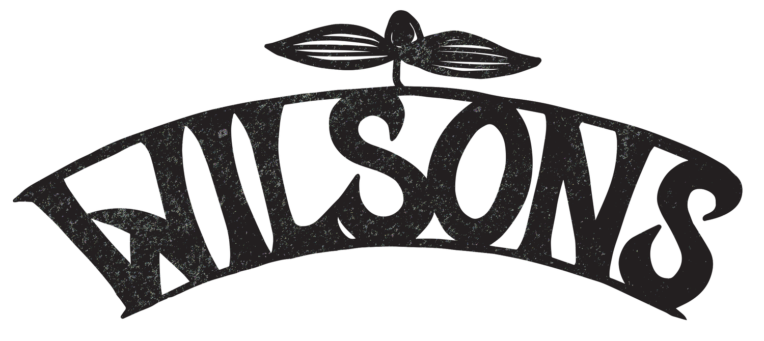 Wilsons Bristol