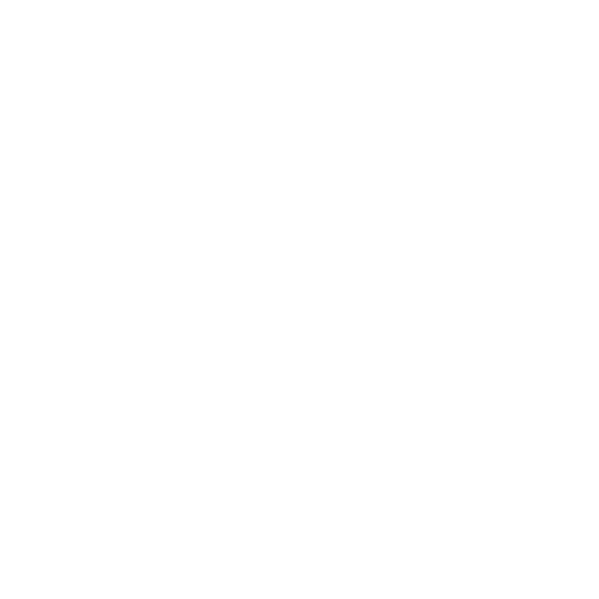 Gracie Jiu-Jitsu® Gernsheim