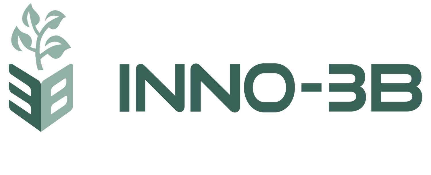 Inno-3B