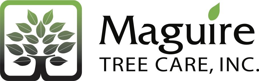 Maguire Tree Care