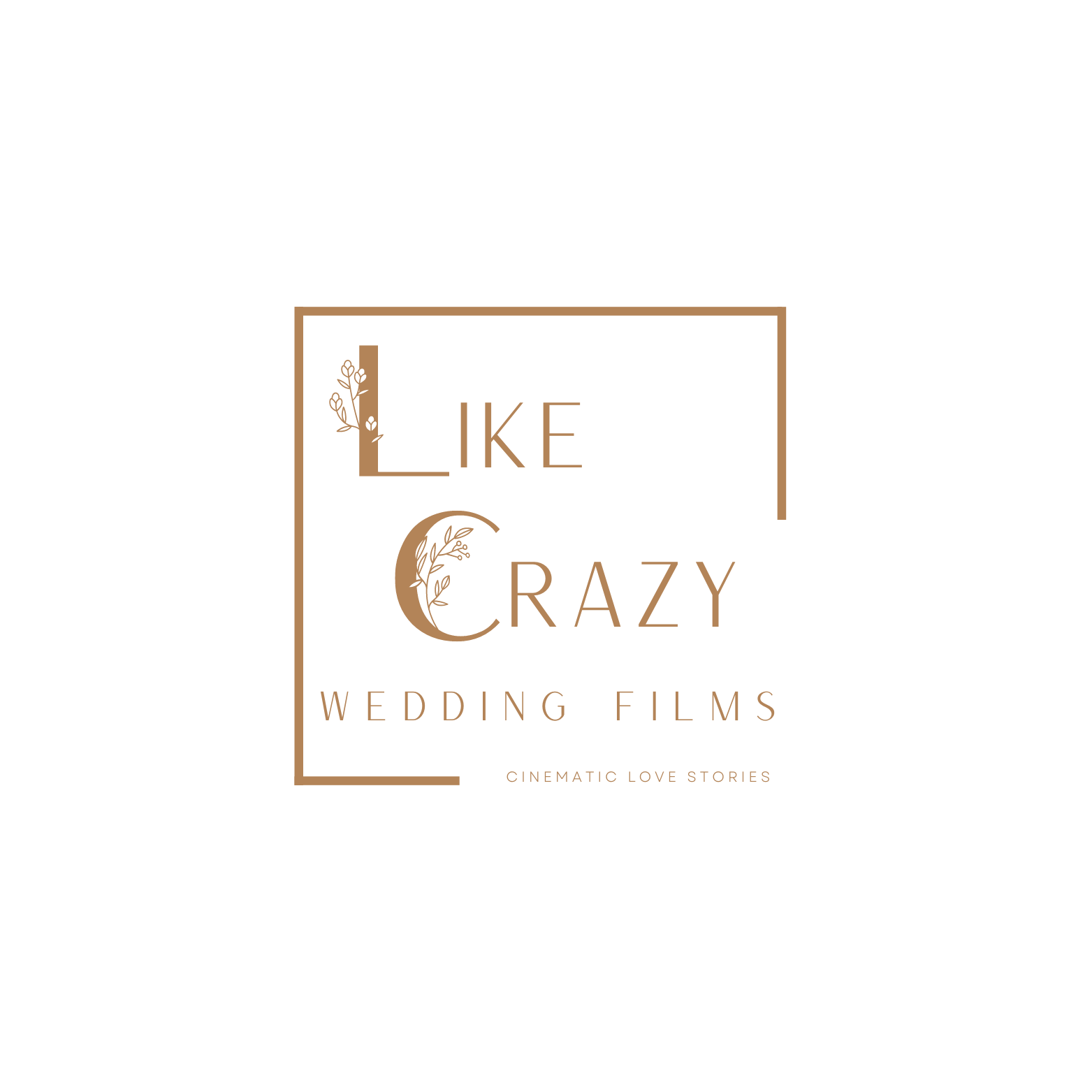 LIKE CRAZY WEDDING FILMS