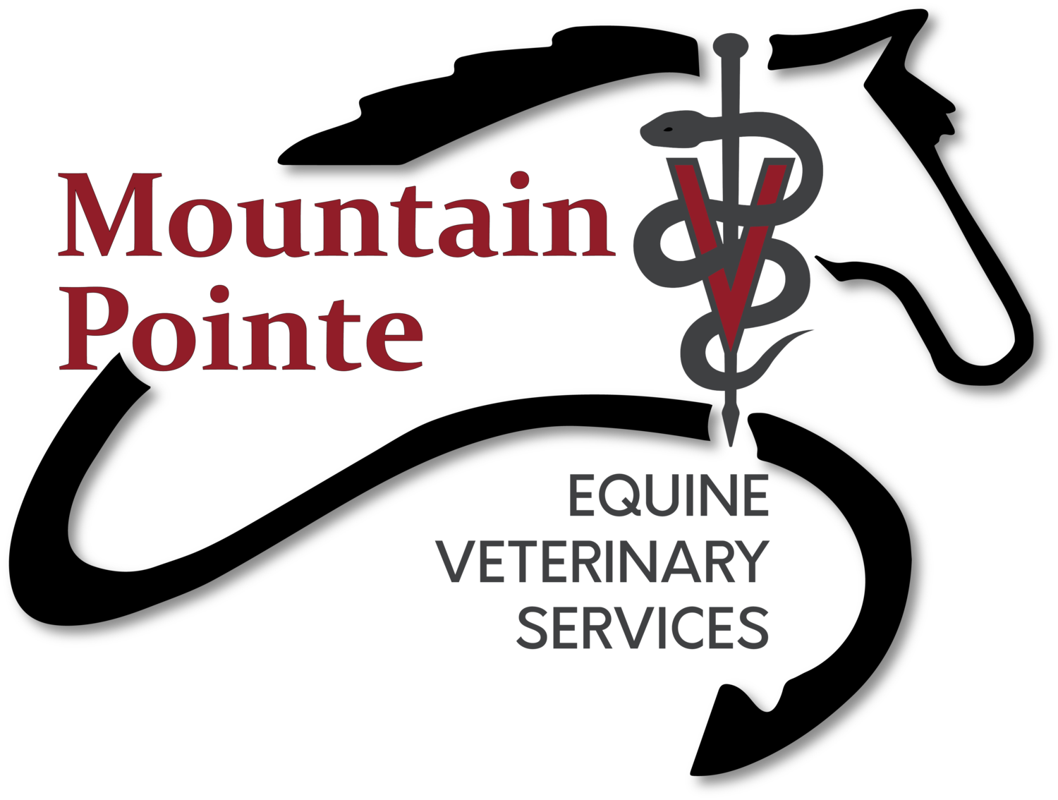 mountain pointe equine