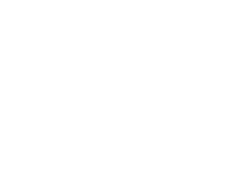 The IVF Warrior