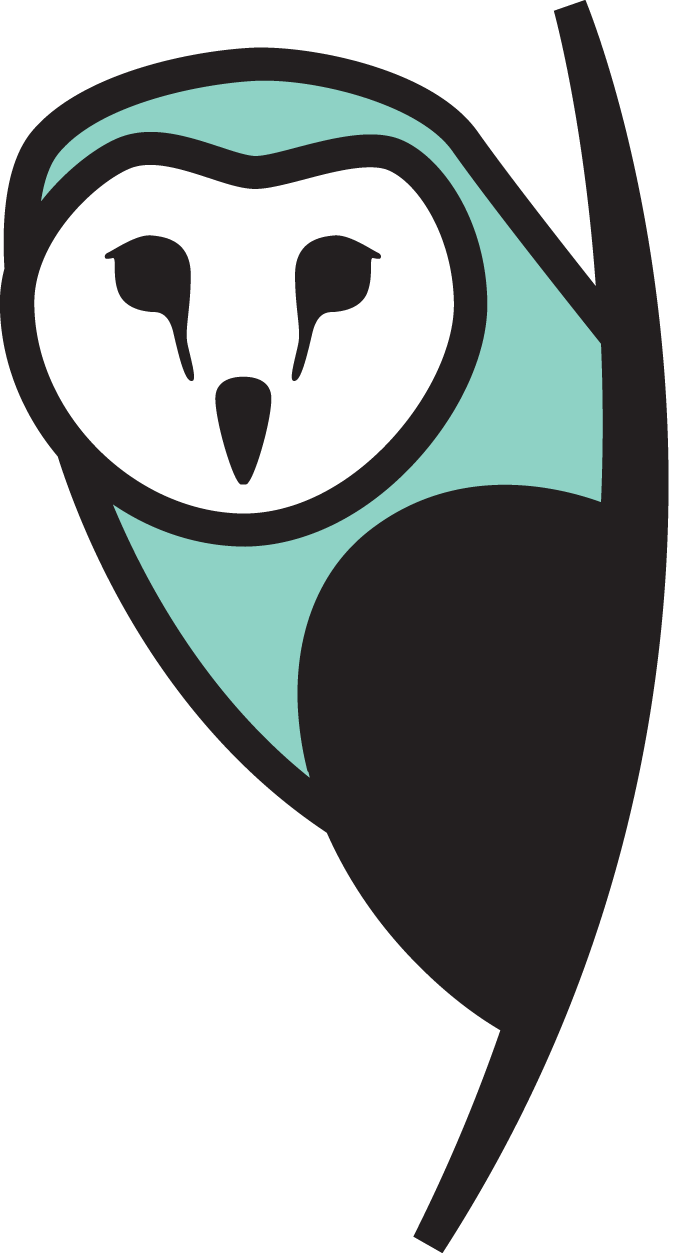 Barn Owls Volleyball Club