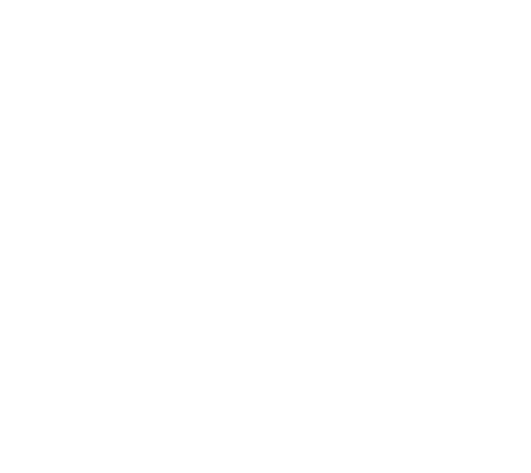 Blue Marble Investments