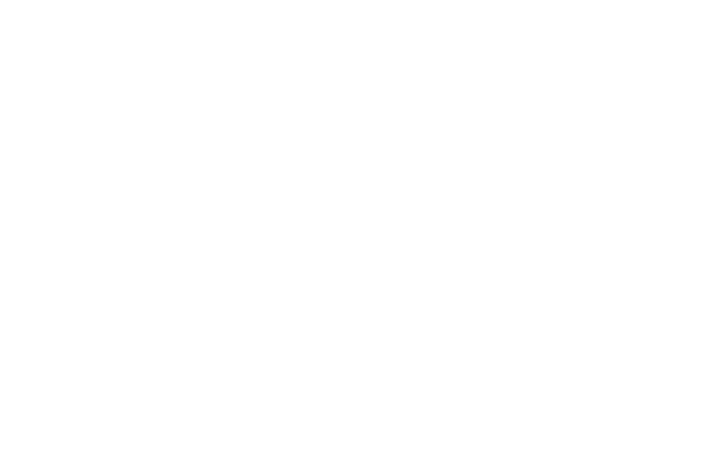 PREMIER CONSULTING