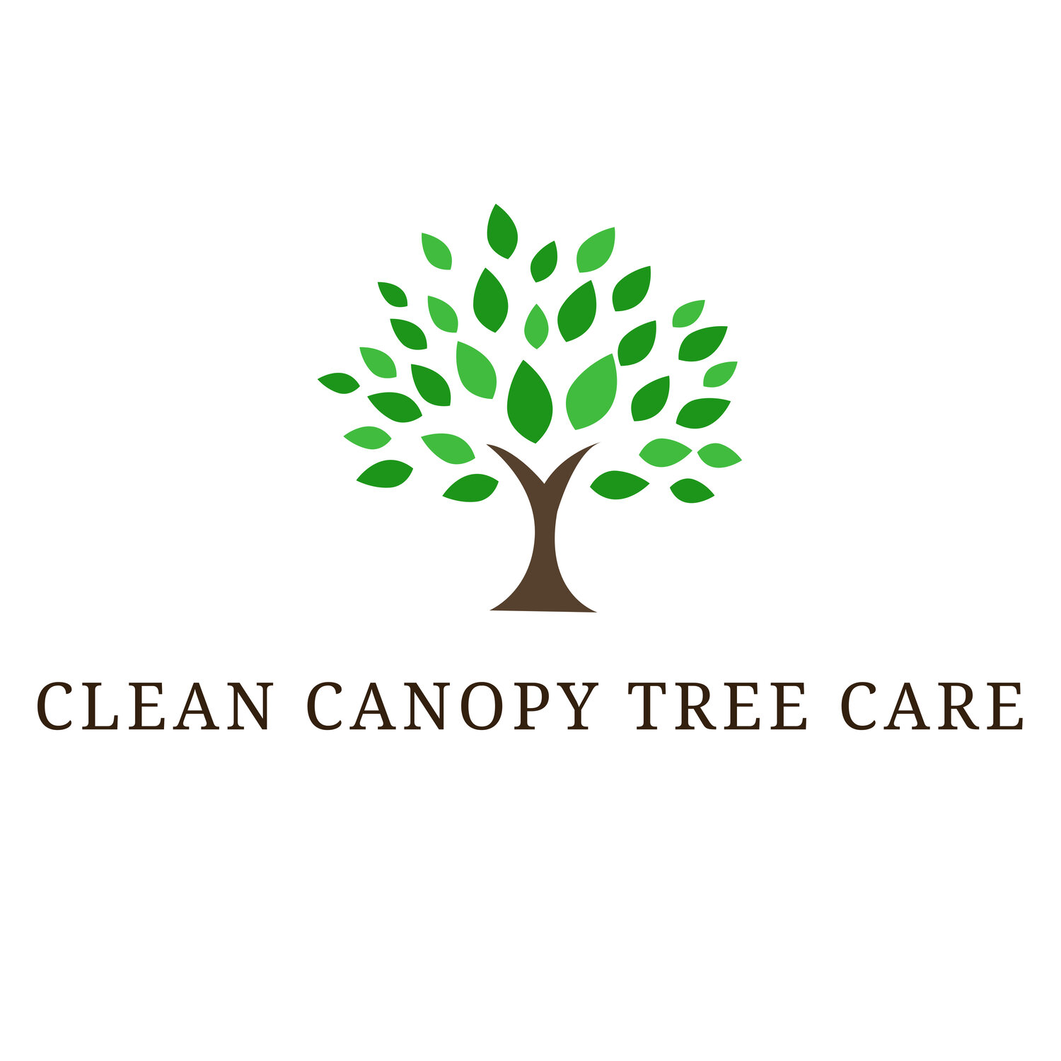 Clean Canopy Tree Care