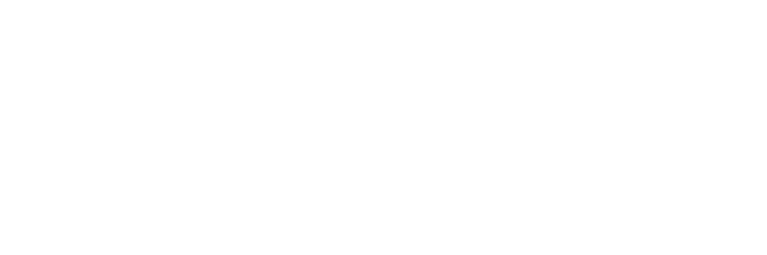 exaLink Systems