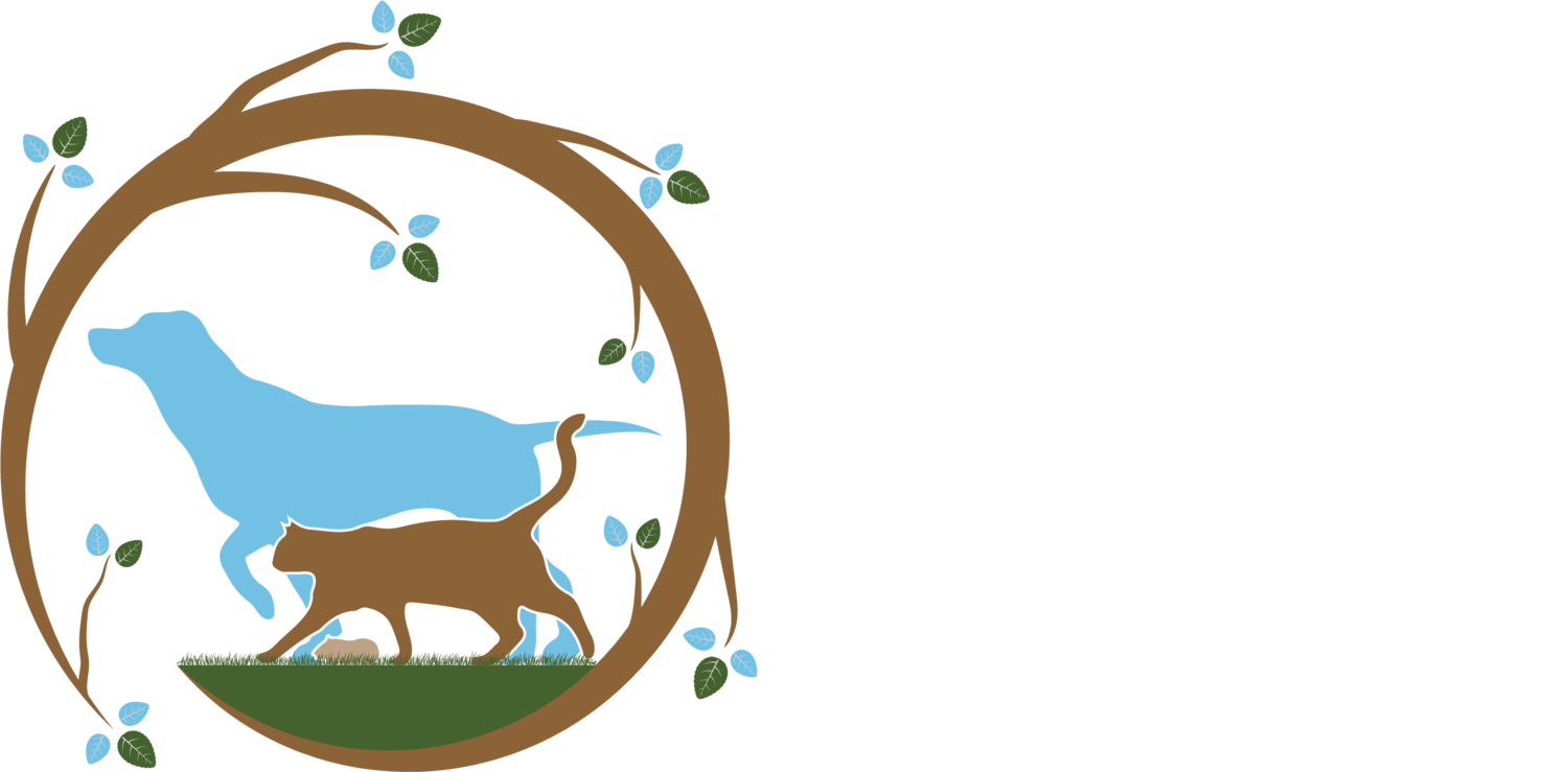 Powell Veterinary Clinic