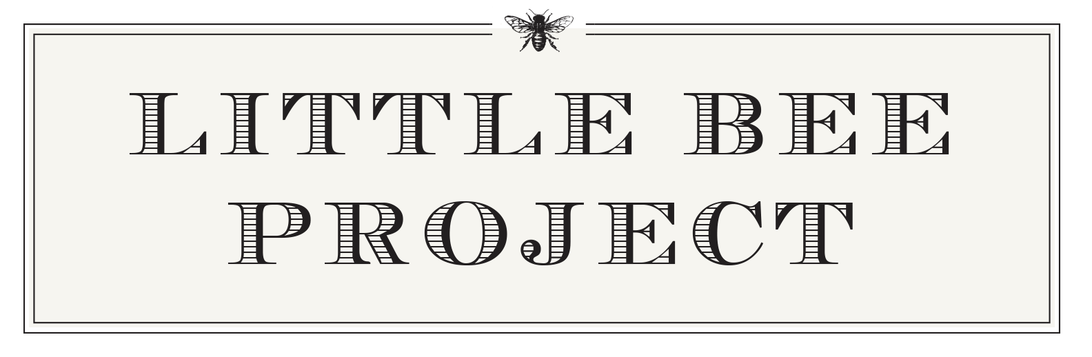 Little Bee Project
