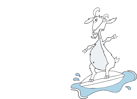 Belly Goat Burgers