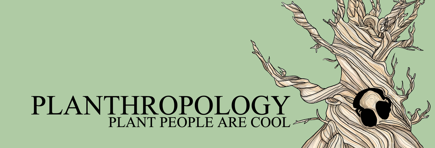 Planthropology