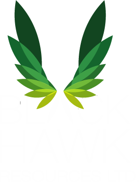 Blackhawk Risk