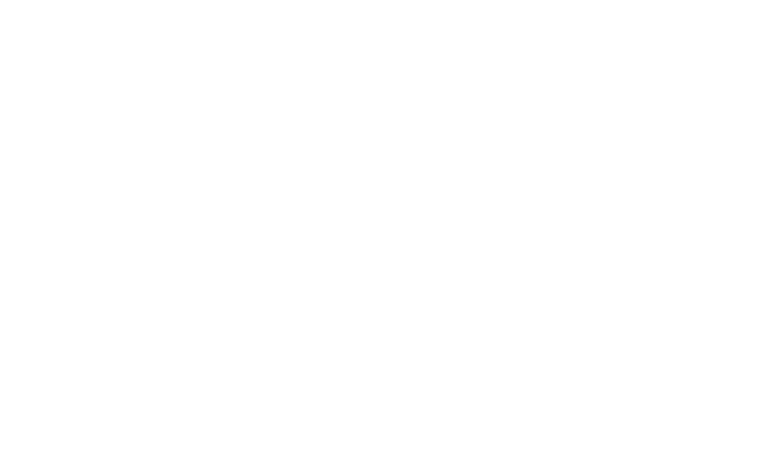 SDSN USA