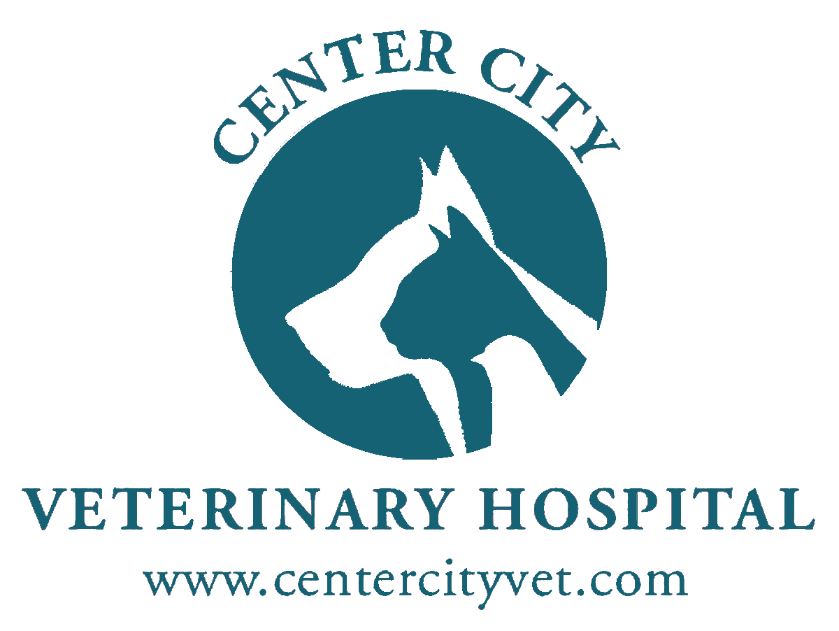 Center City Veterinary Hospital