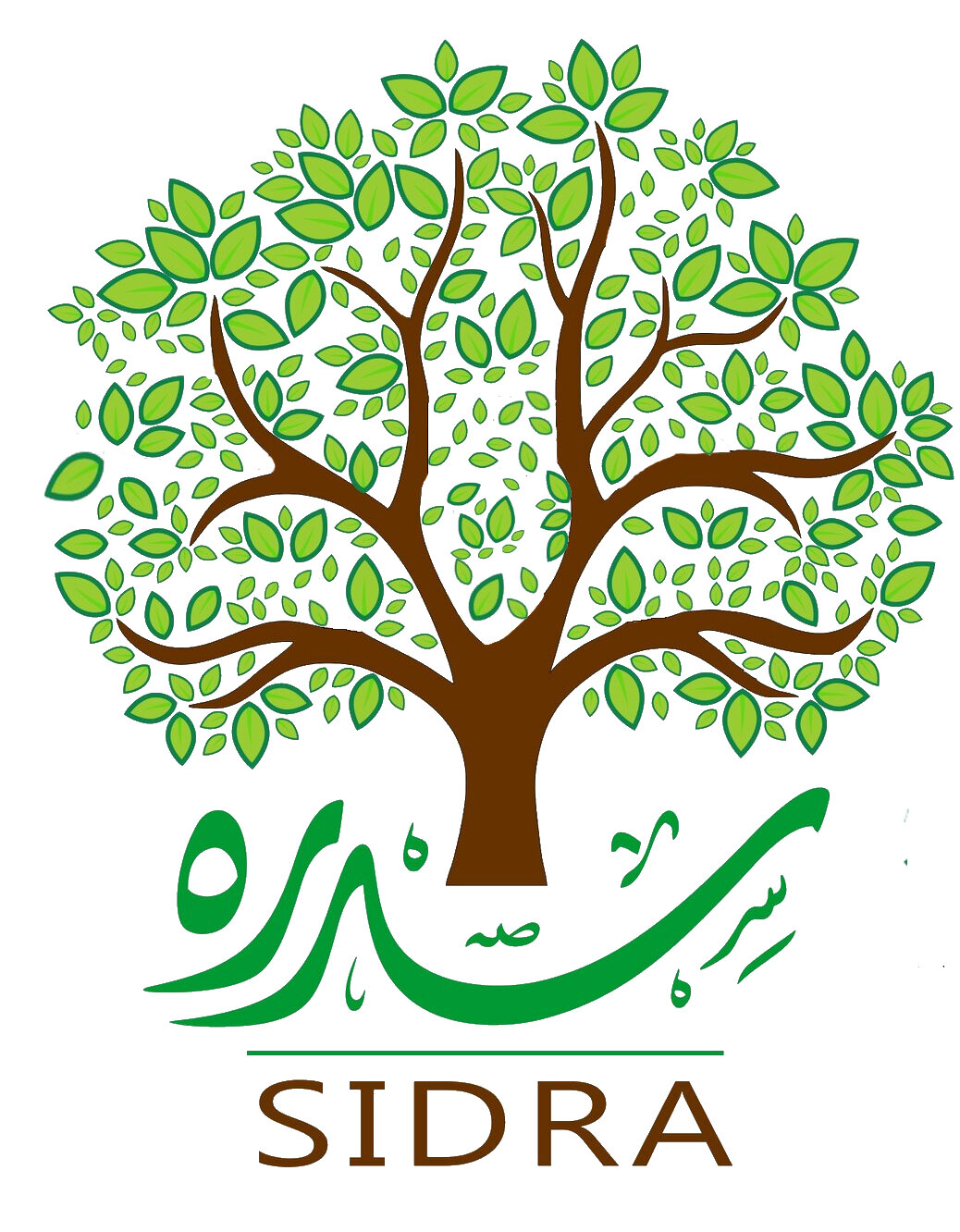 Sidra Mena Community Wellness