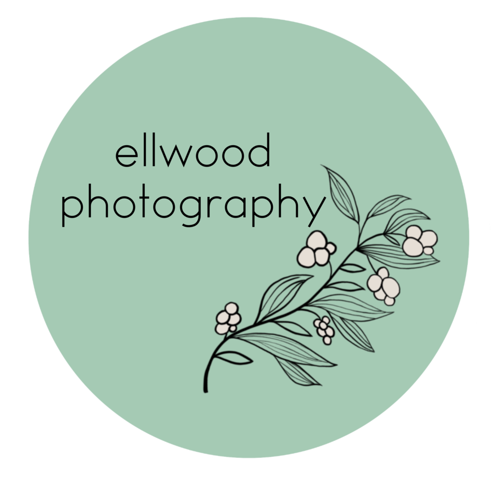Ellwood Photography