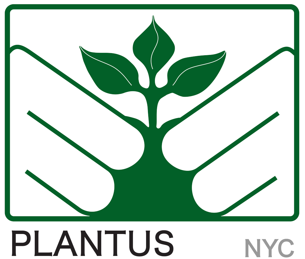 Plantus 