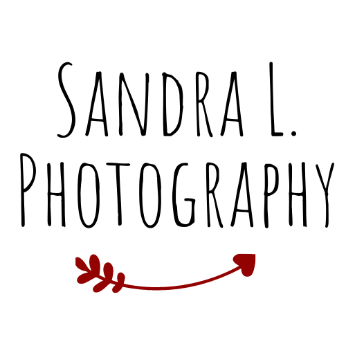 SandraLphotography photographe mariage famille grossesse naissance lyon