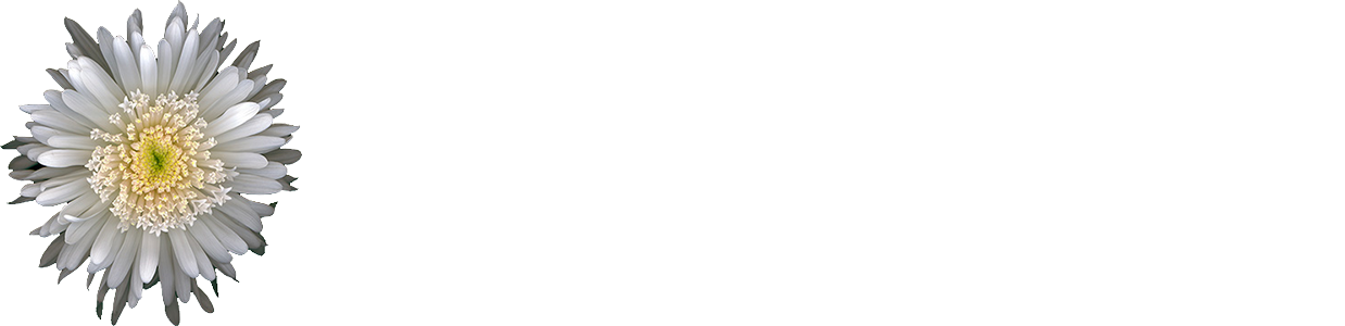 Private Yoga Virginia Beach