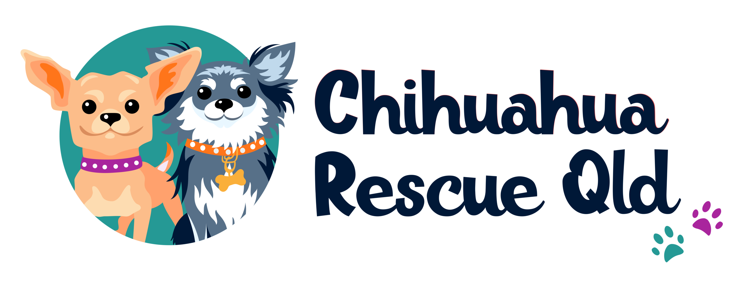 Chihuahua Rescue Qld