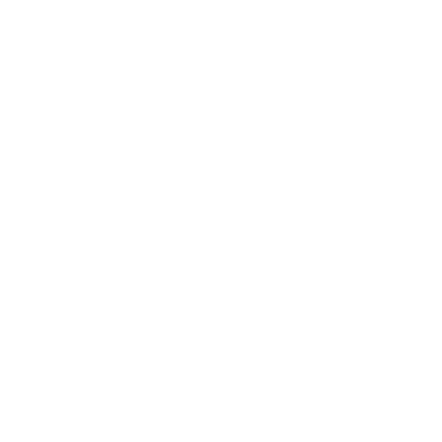 Noodle Head Designs