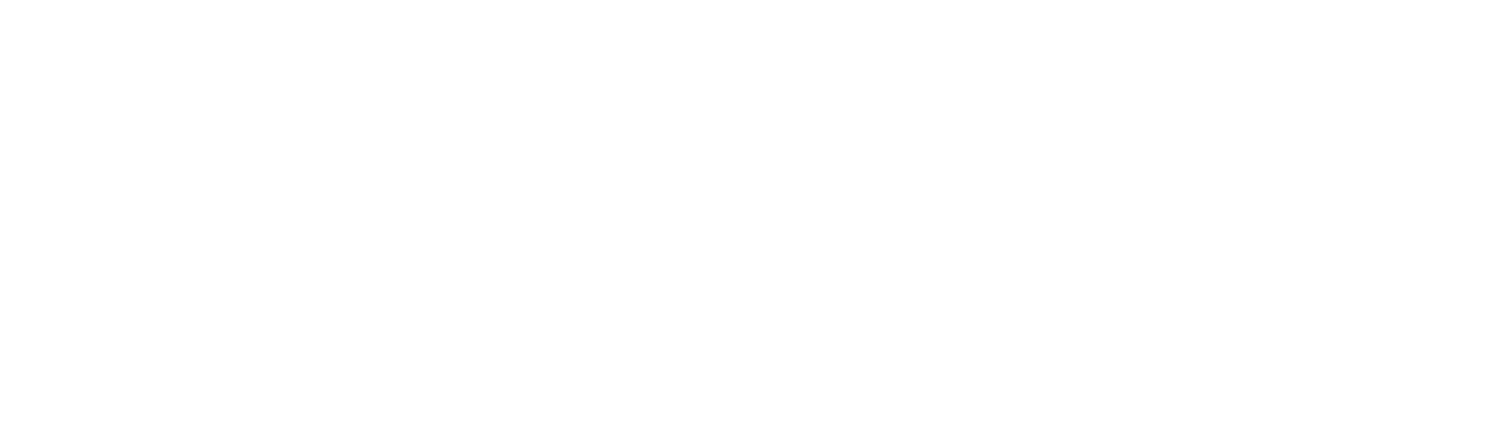 Insight Leadership