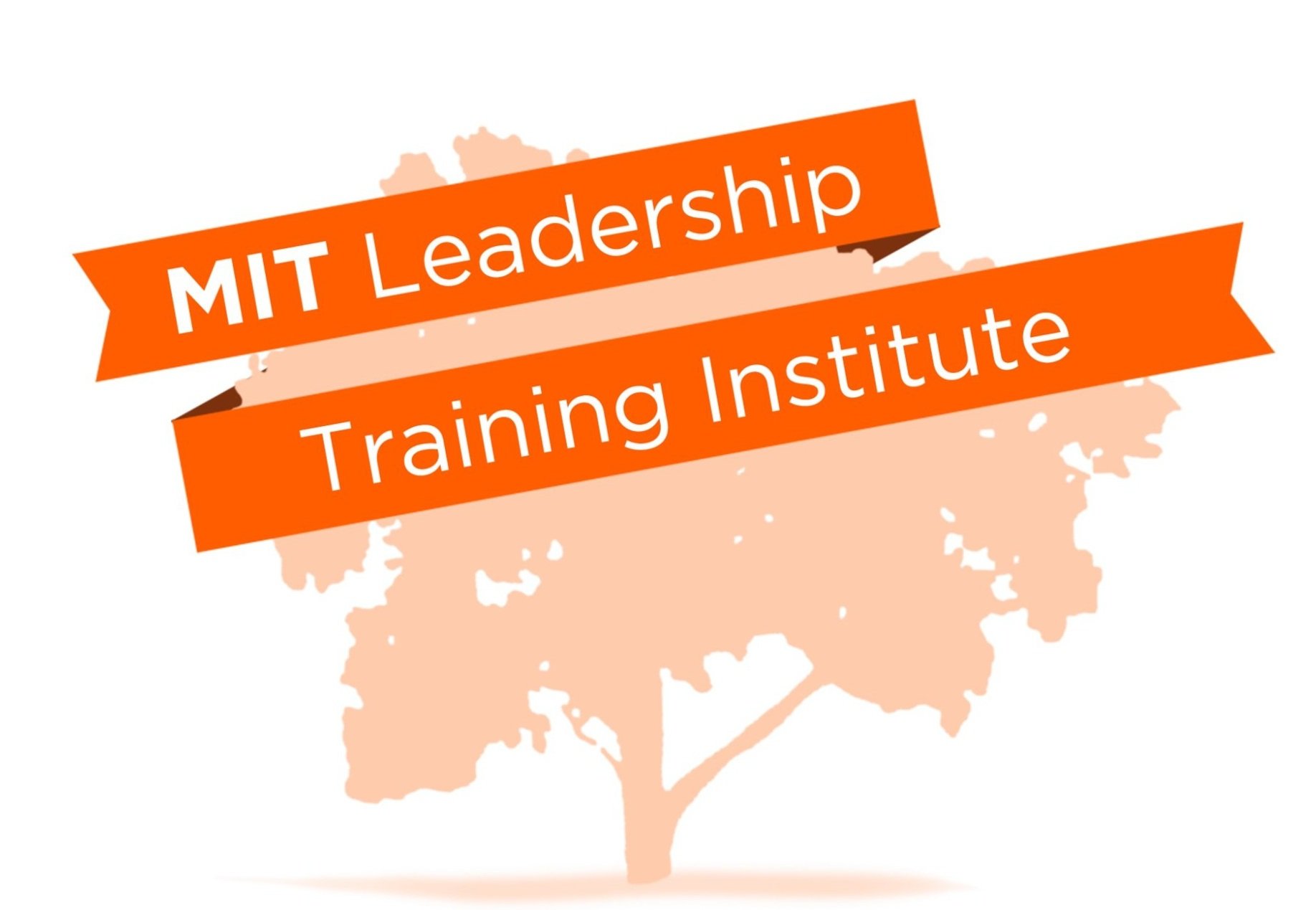 MIT Leadership Training Institute