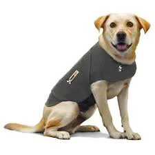 thundershirt for dogs